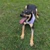 Ainsley 3395 photo 5
