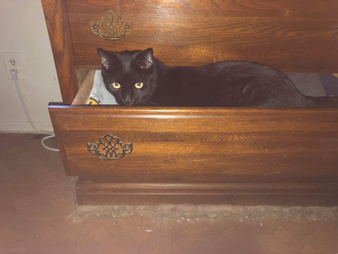 Percy