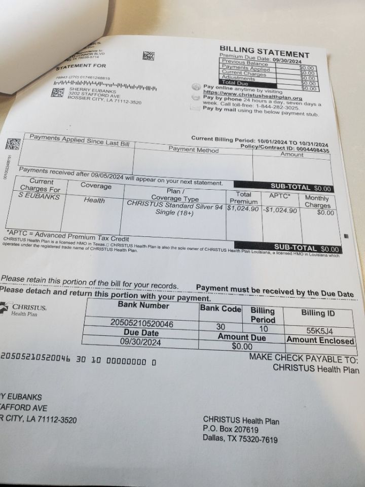 Cat for adoption Whimsy, a Domestic Short Hair Mix in Bossier City