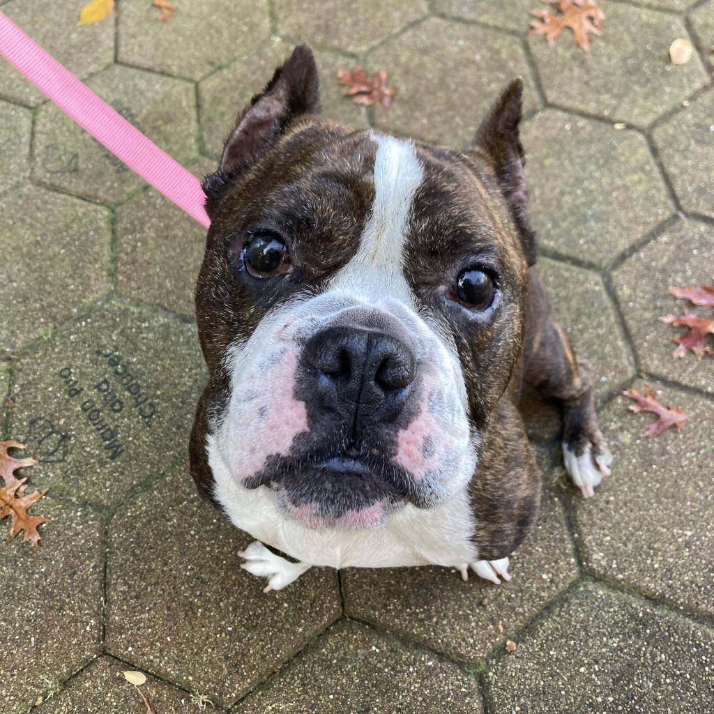 Tito