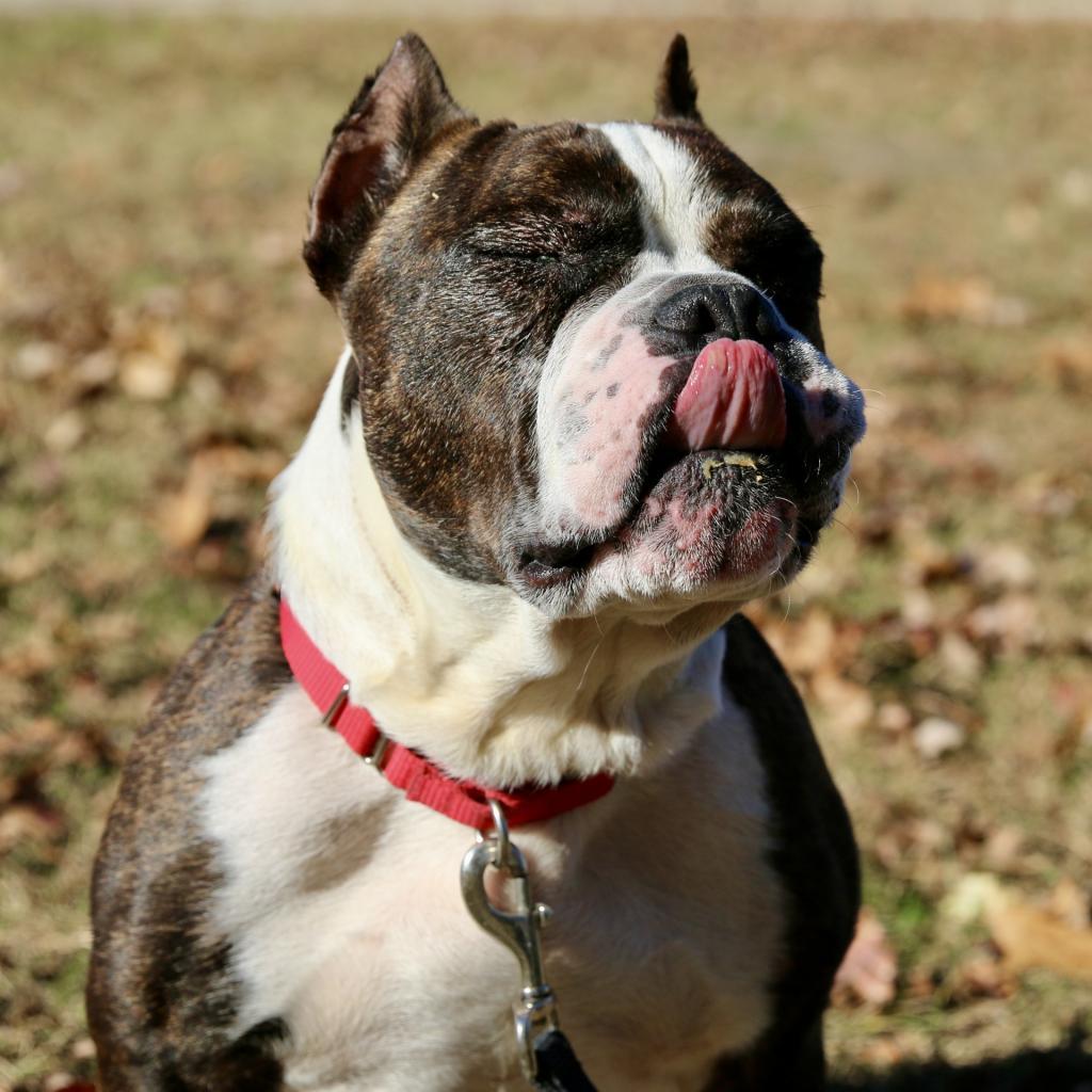 Tito