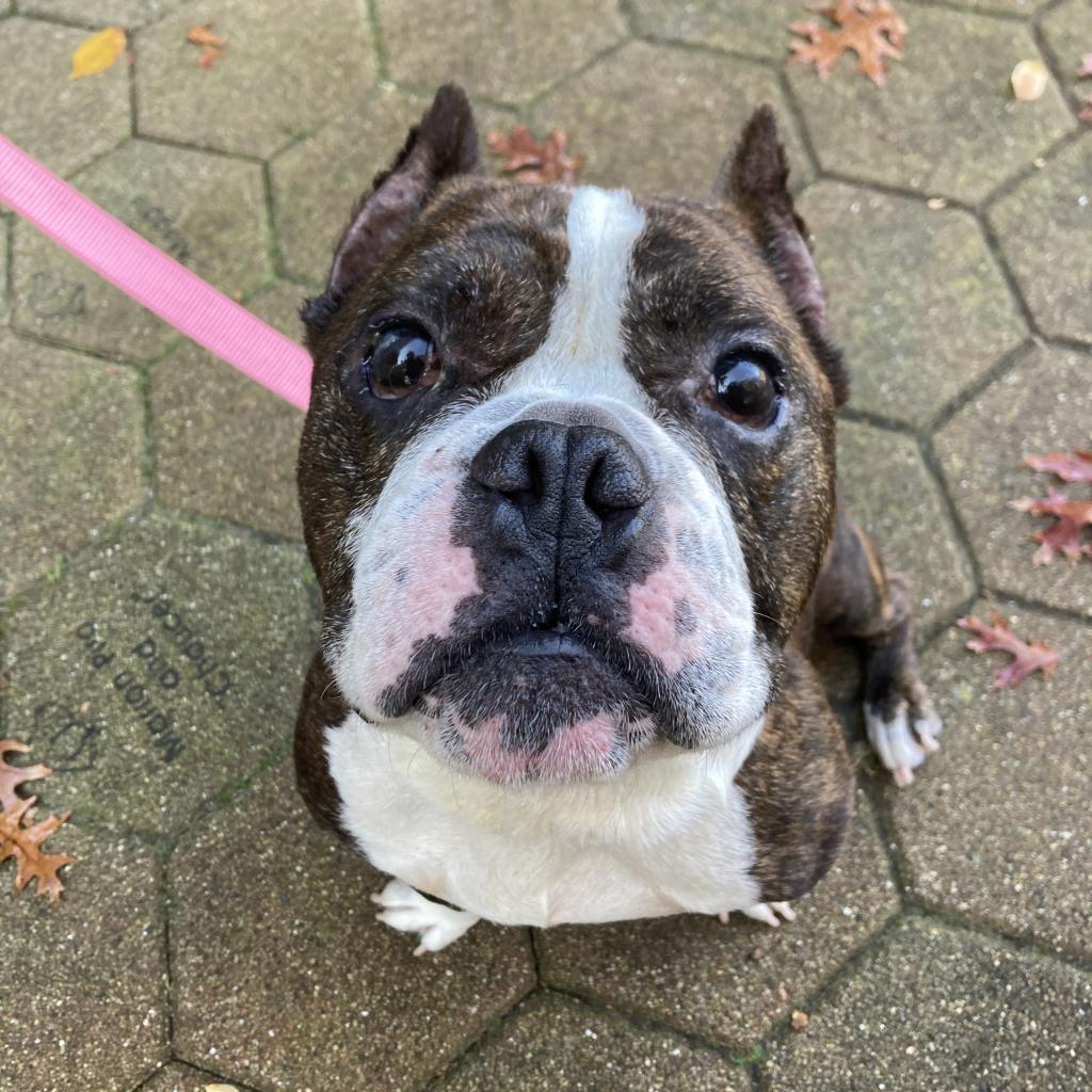 Tito