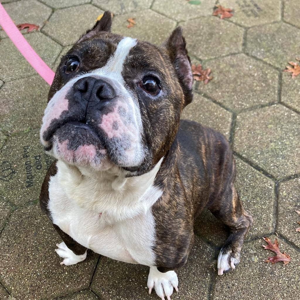 Tito
