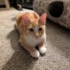 Milo photo 2