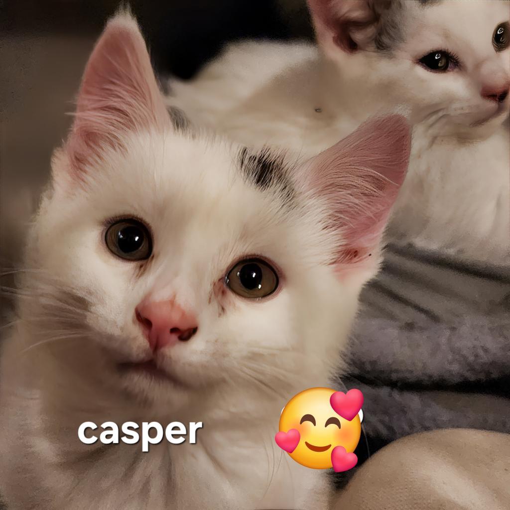 Casper