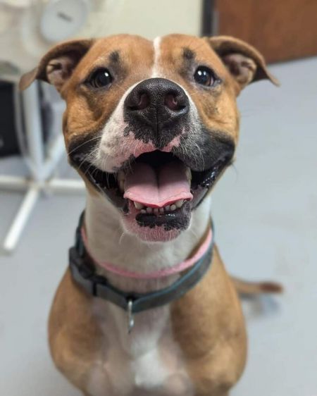 Sammie Tag 454