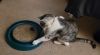 Wyatt photo 2