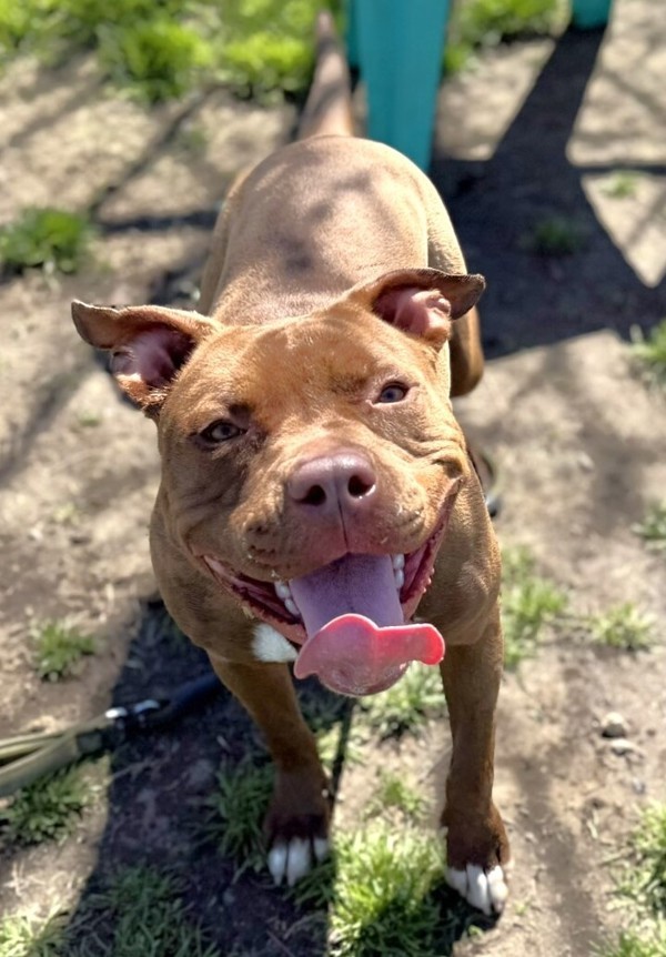 Roxy