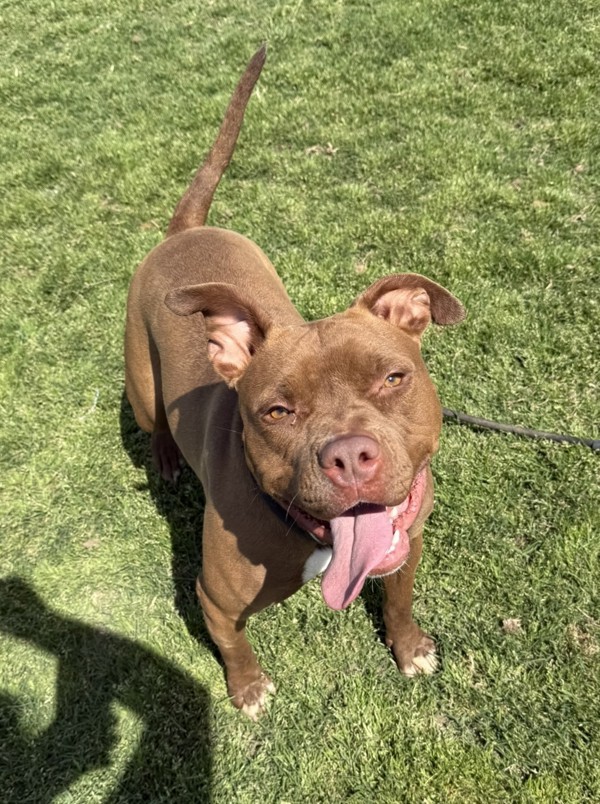 Roxy