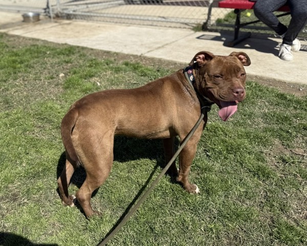 Roxy