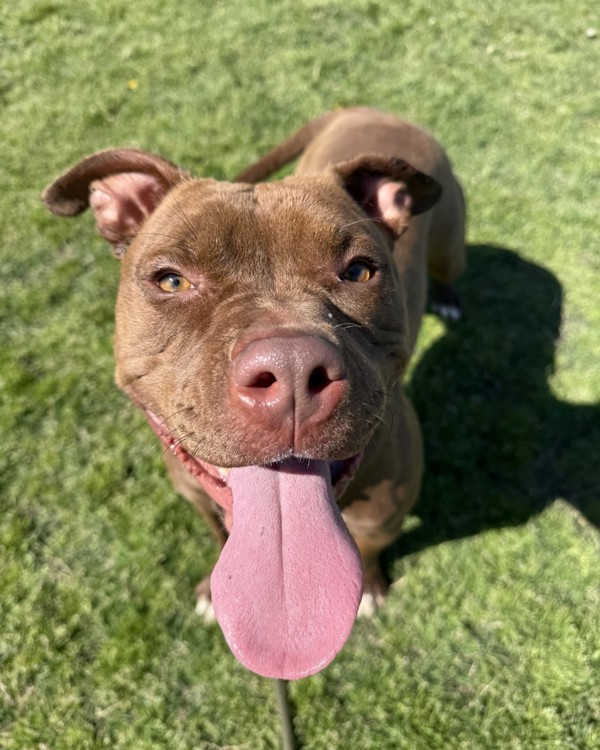 Roxy