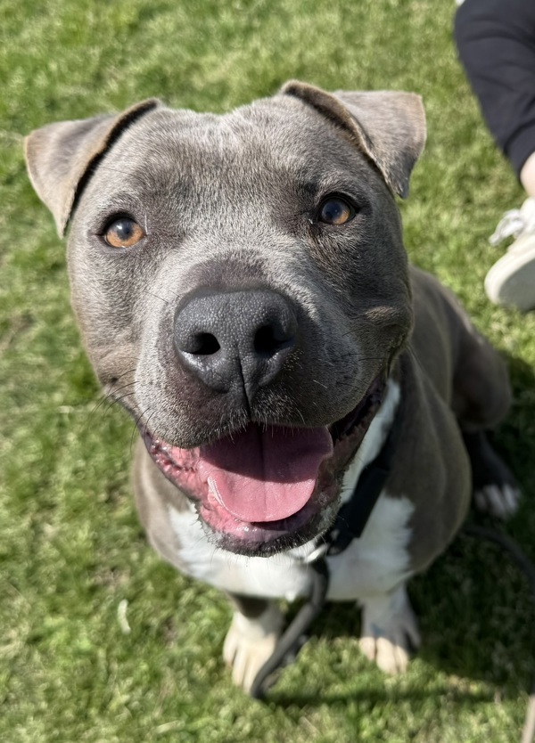 Roscoe