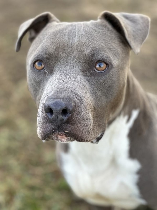 Roscoe