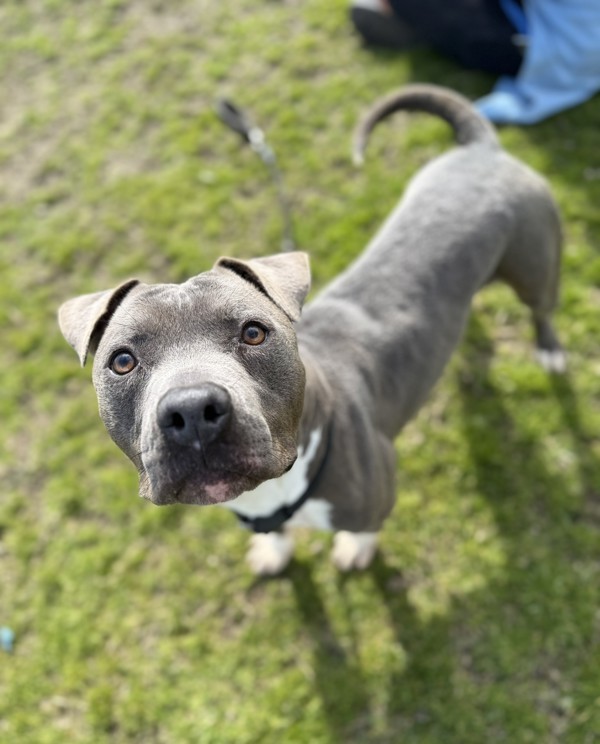 Roscoe