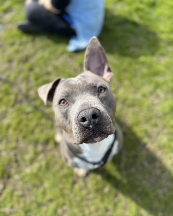 Roscoe