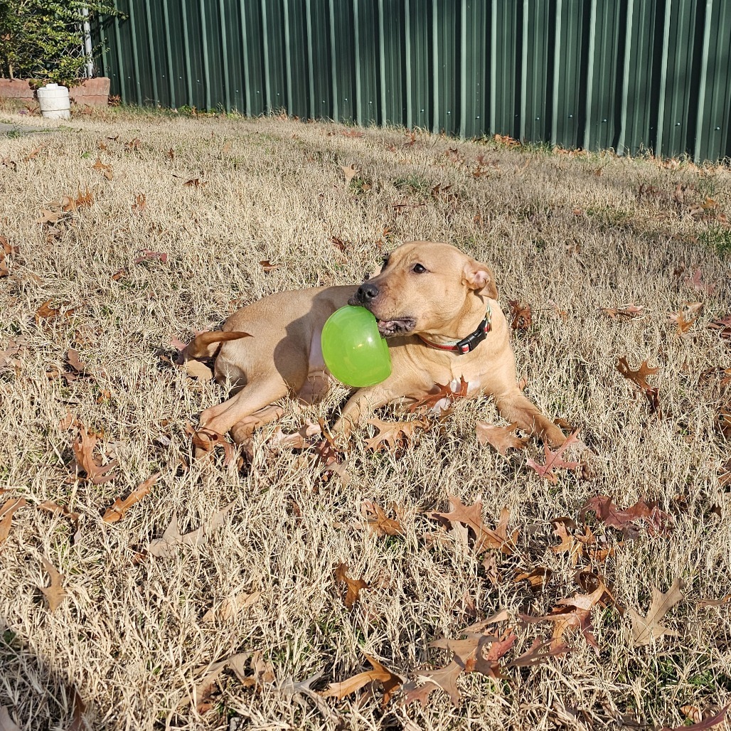 Mandy AKA Peanut