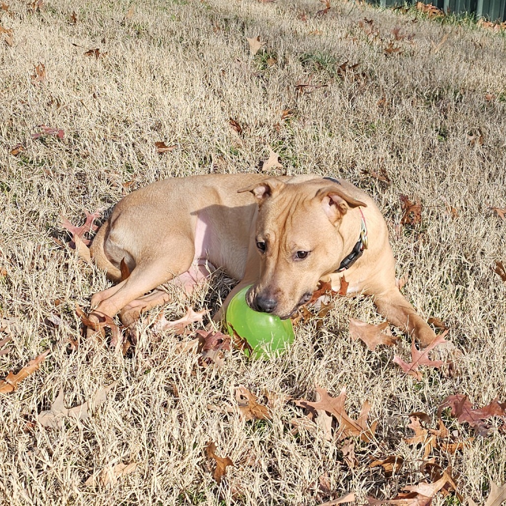 Mandy AKA Peanut