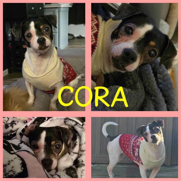 Cora 1