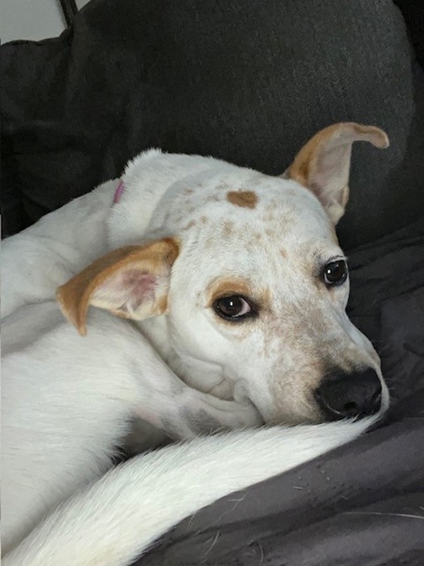 Sadie