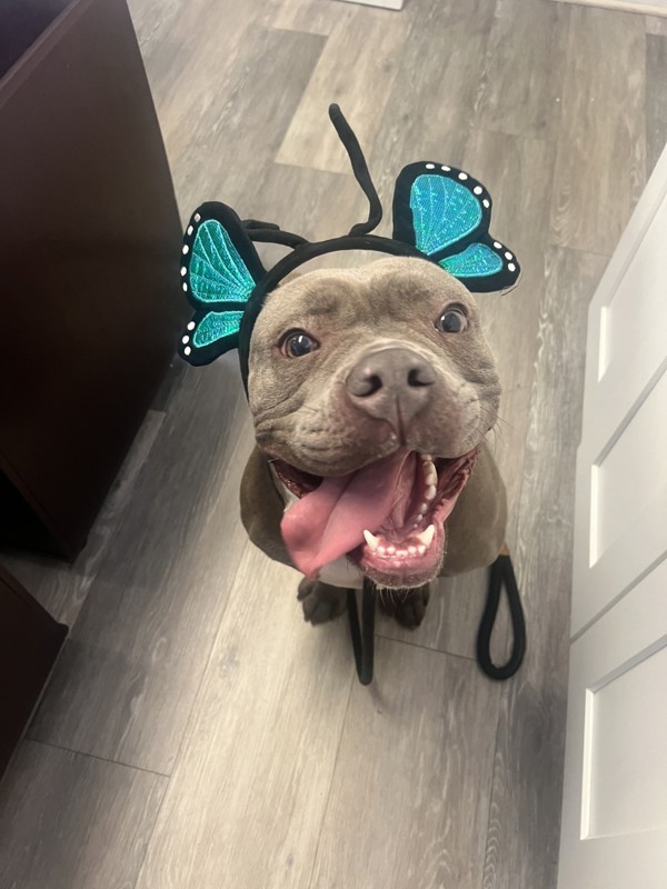Mia