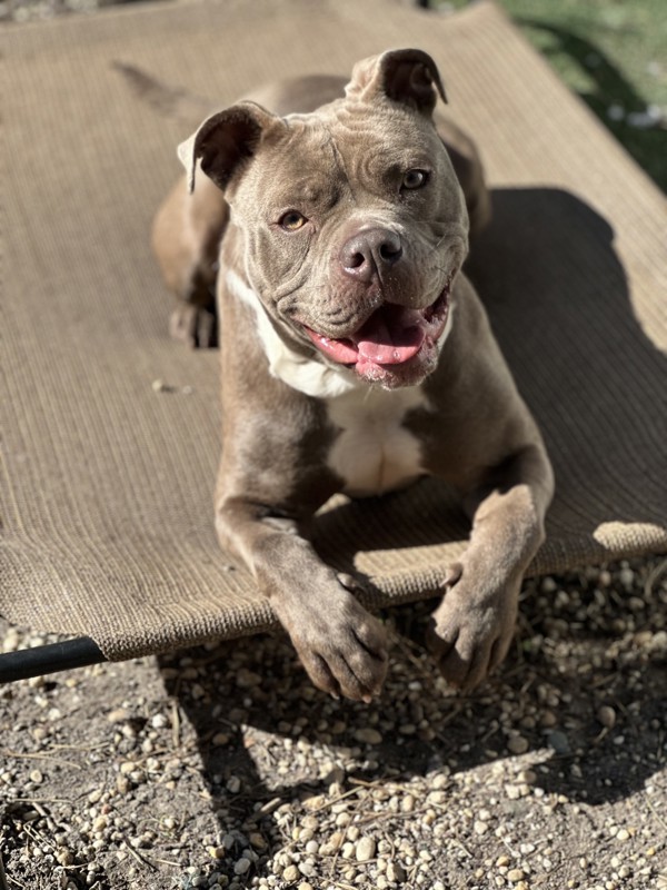 Mia