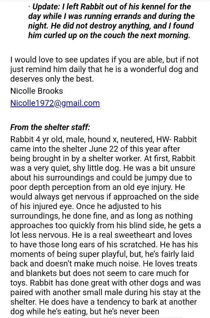 Rabbitt