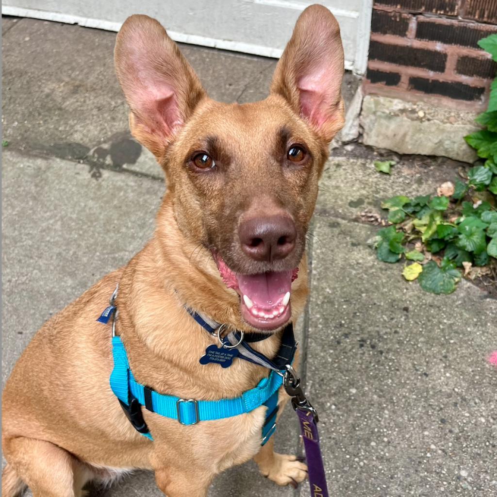 Caramel