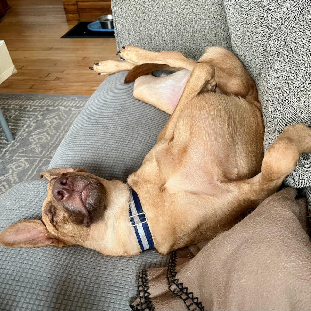 Caramel
