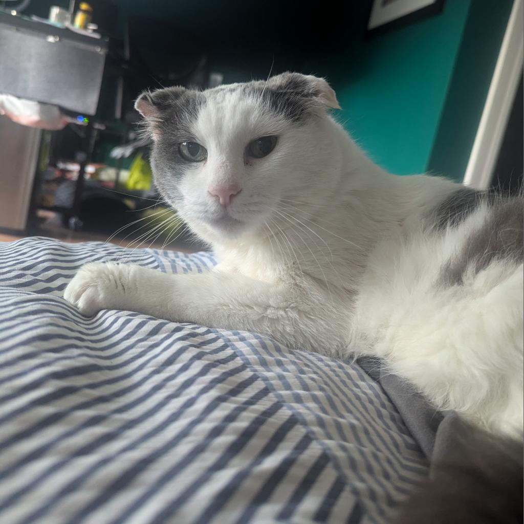 Tappy