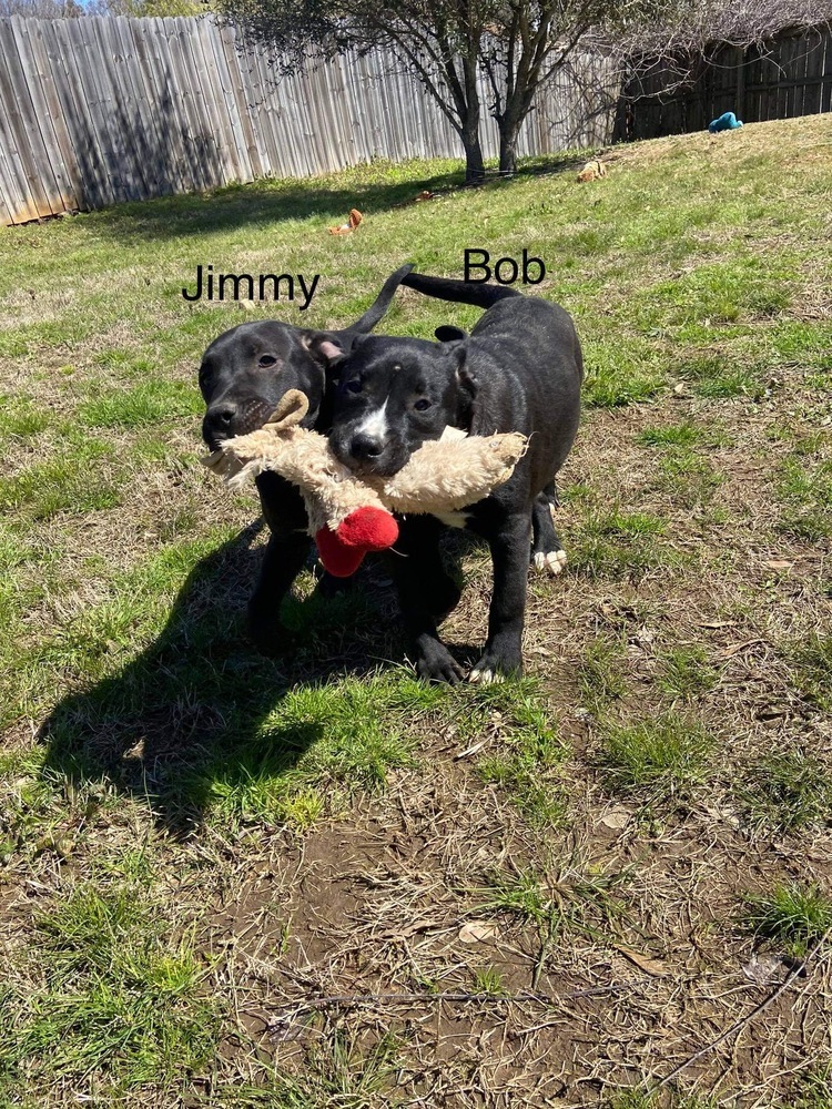 Jimmy