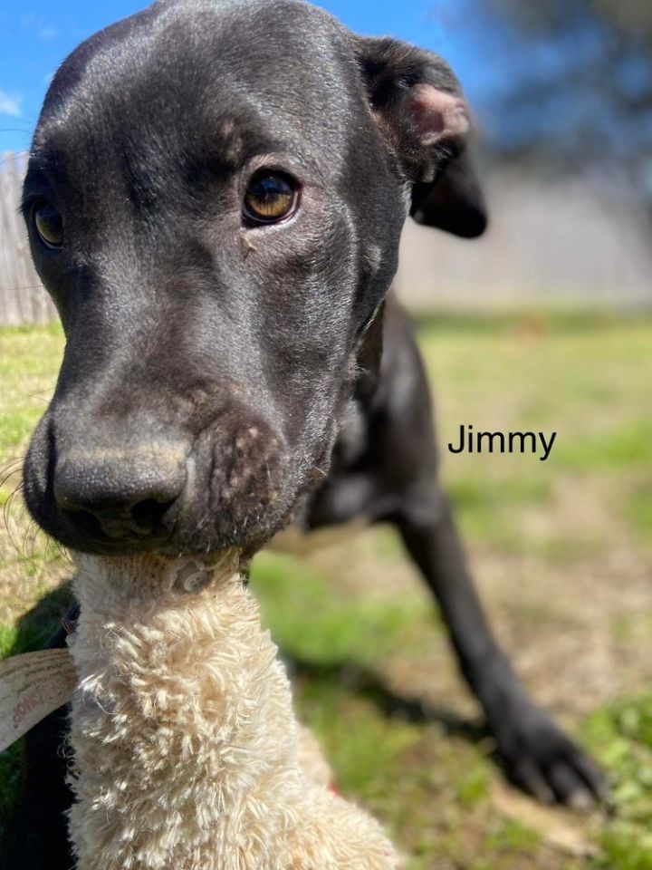 Jimmy 4