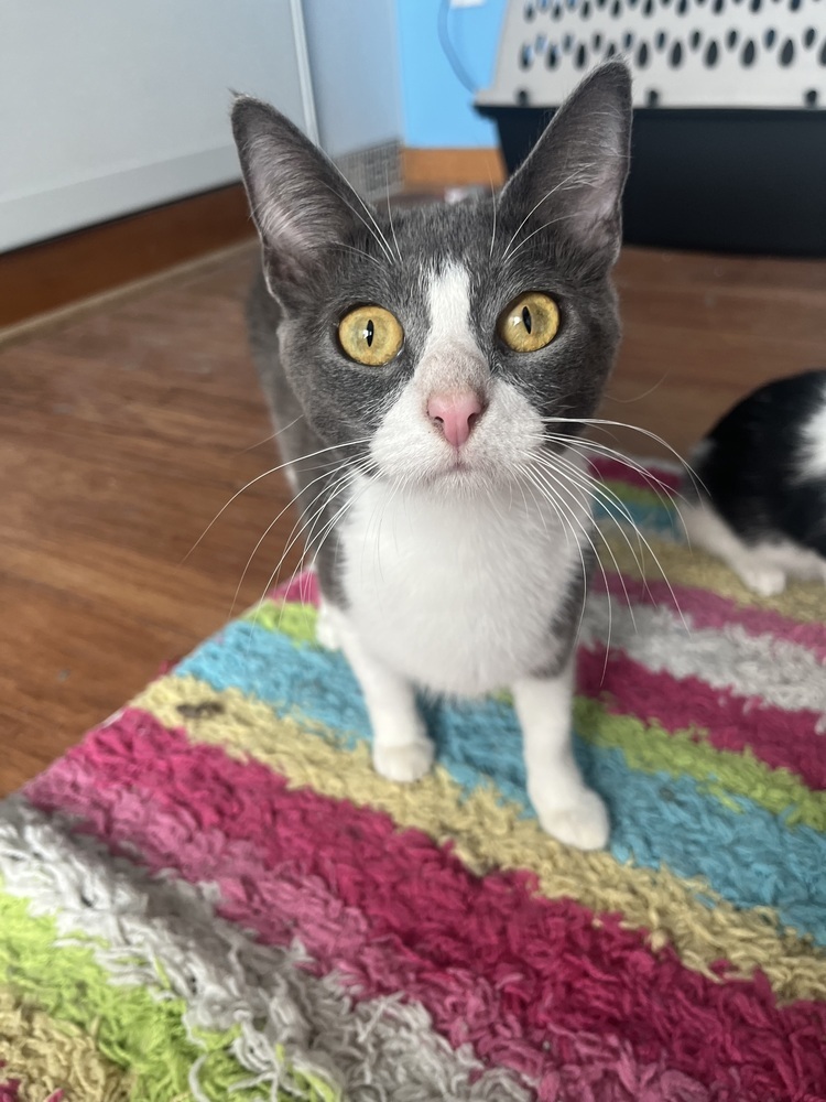 Hera