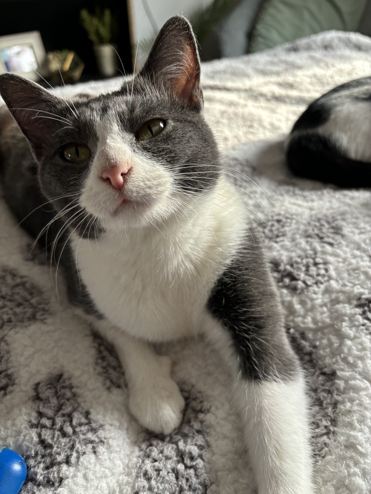 Hera
