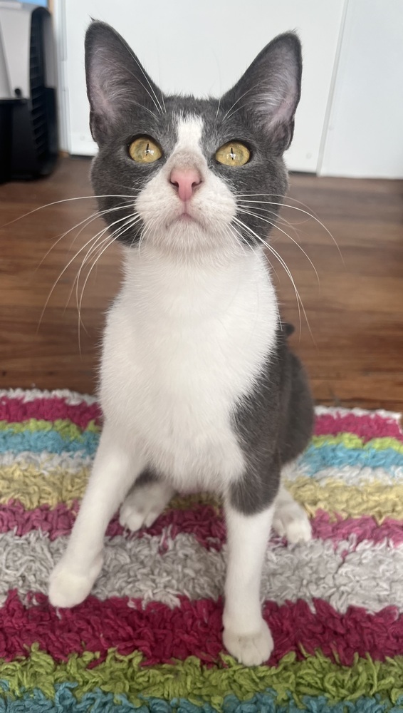 Hera