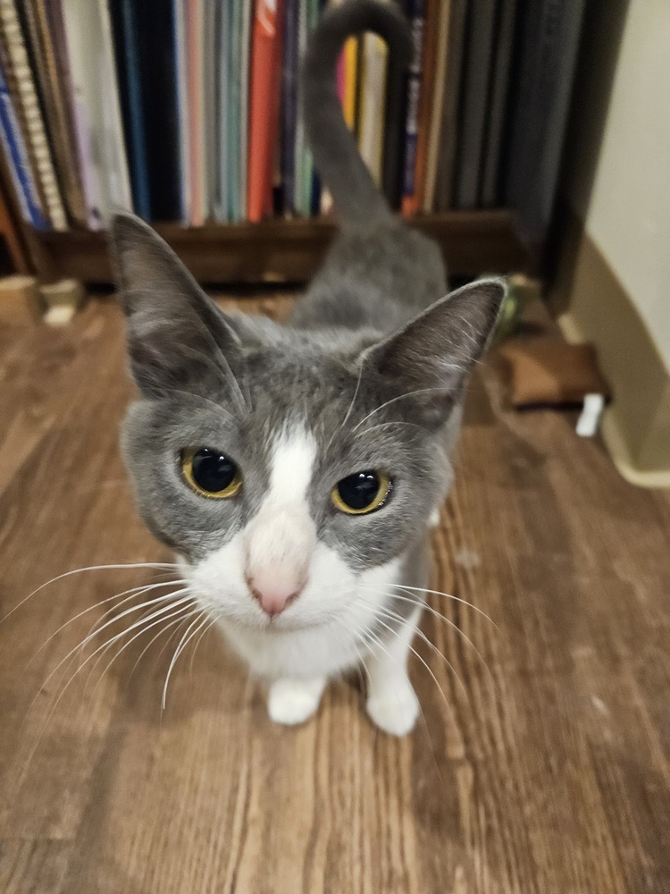 Hera