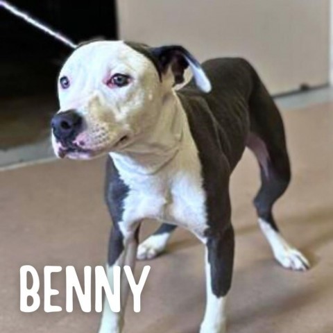 Benny