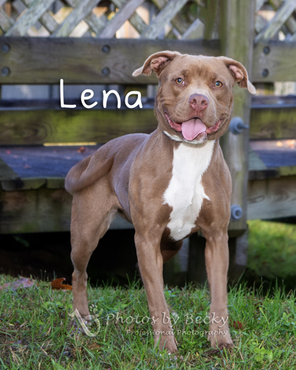 Lena