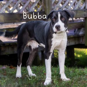 Bubba