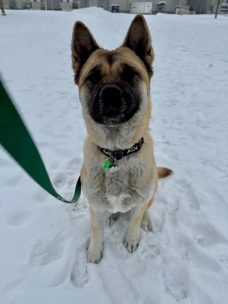 Luna