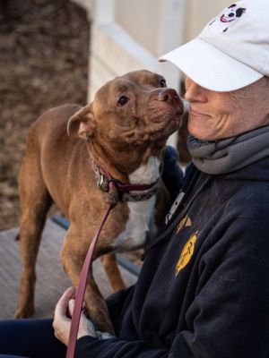 Farell is a sweet and calm love bug He is 34 lbs and about 5 years old so he will