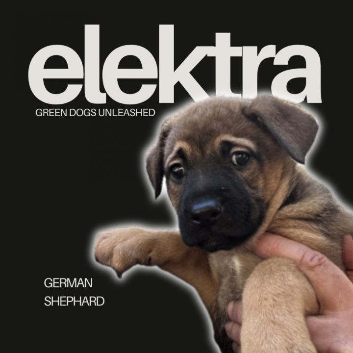 Elektra 1