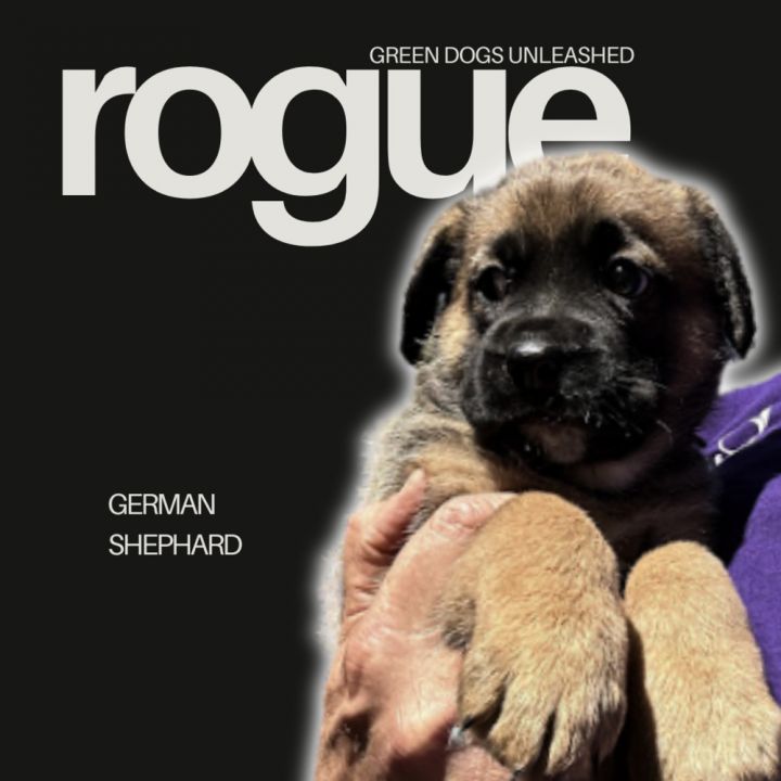 Rogue 1