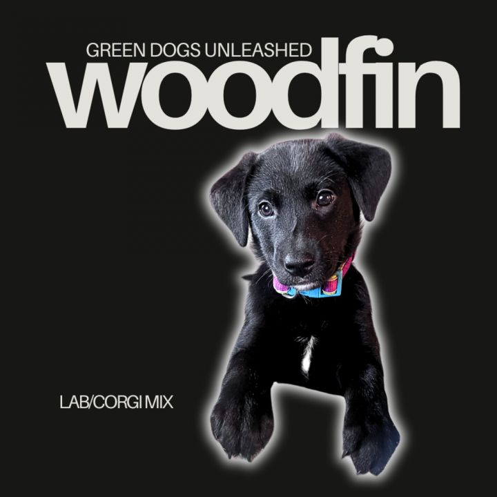 Woodfin 1