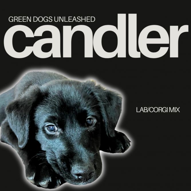 Candler