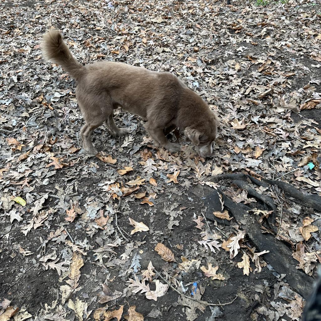 Skitter