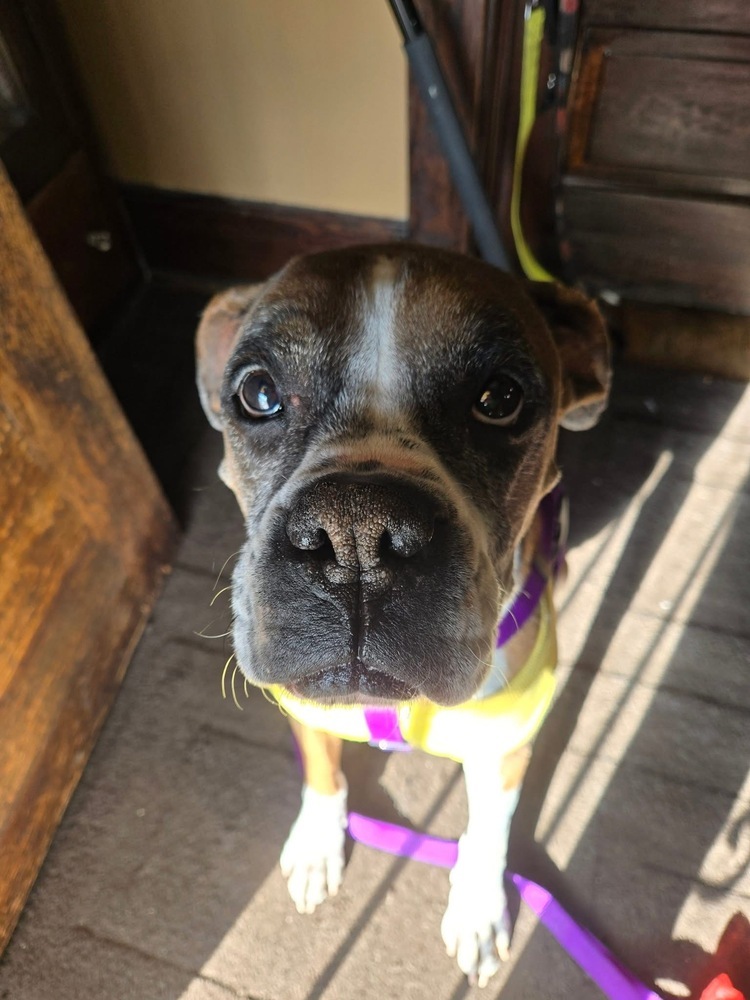 Duke