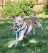Lacey photo 6