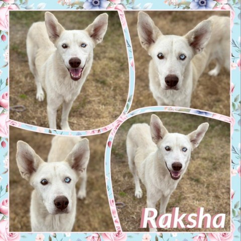 Raksha 1