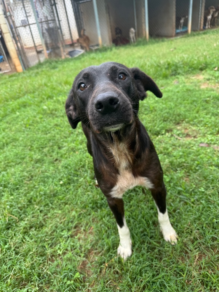 Benny