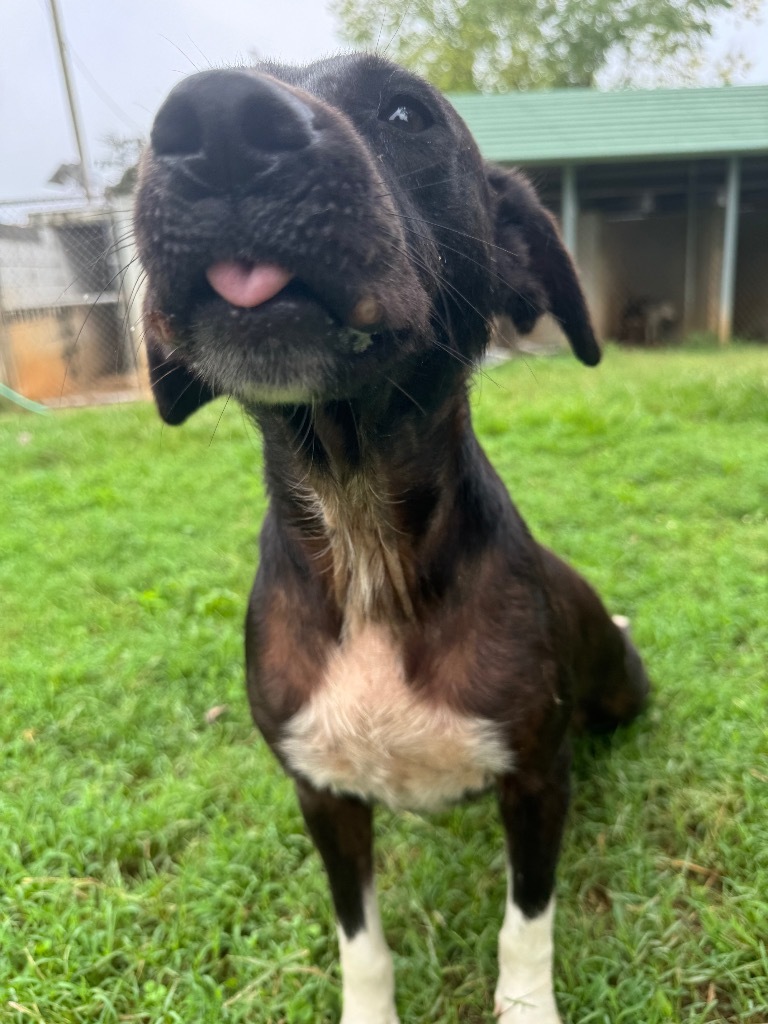 Benny